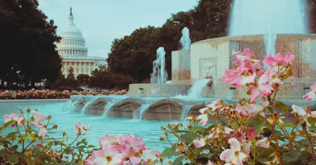 Senator Salaries and Benefits ContactSenators