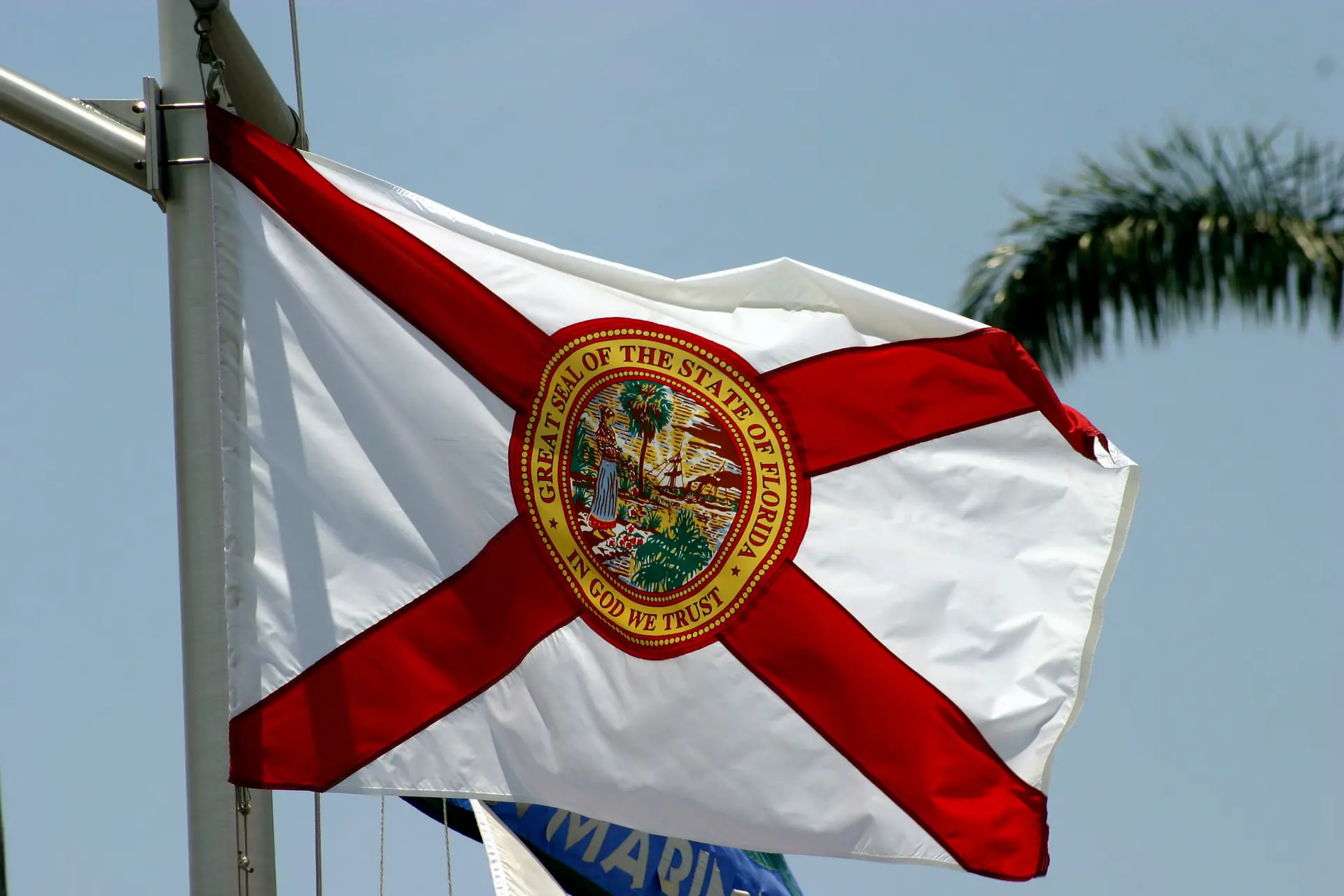 82 Florida Facts And Weird Laws 2024