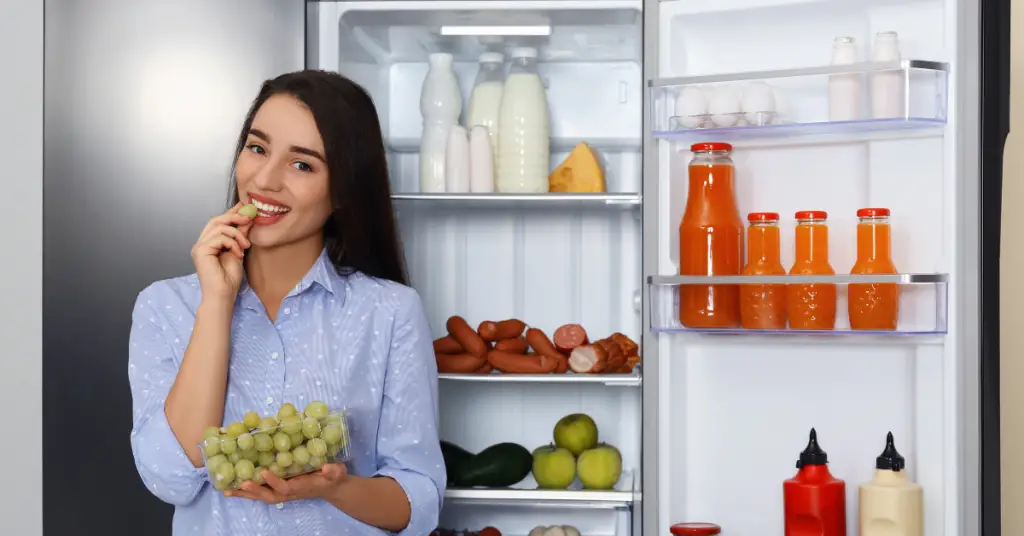 Free Refrigerators Program 2024